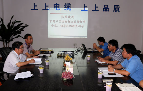 江蘇上上電纜集團(tuán)順利通過安標(biāo)現(xiàn)場監(jiān)督評(píng)審