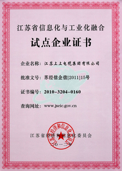 上上集團(tuán)被評(píng)為“江蘇省信息化與工業(yè)化融合試點(diǎn)企業(yè)”