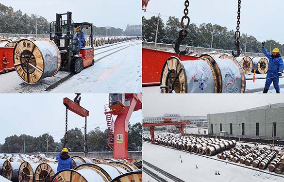 1768905279772233XHcg.jpg 2.jpg